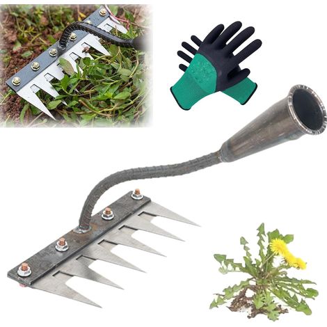 Berthaus Unkrautrechen, Unkrautrechen-Werkzeug mit Griff, robuster Gartenrechen aus Metall, Berthaus-Rechen zum Jäten/Lockern/Säen (6 Zähne) (1/5)