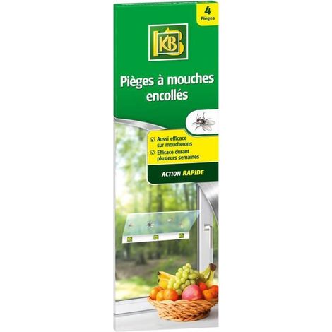 KB Lot de 4 pièges à mouches, glu, KB (1/2)