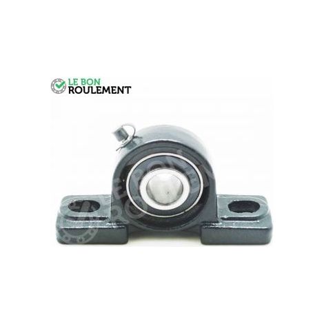 Palier fonte UCP207-22