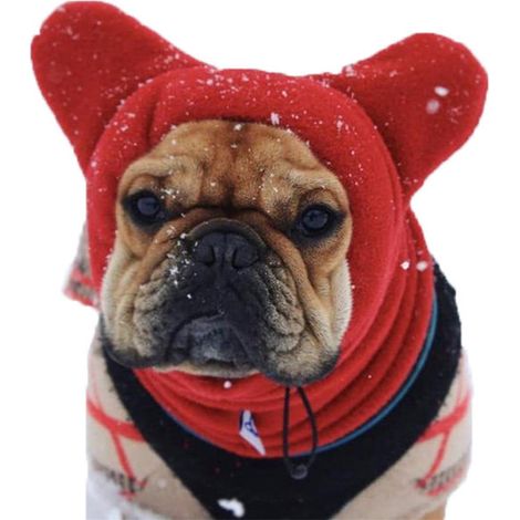Chapeau Chaud Pour Chien - Bonnet Écouteurs En Laine Avec Ajustement Par Cordon - Protège Les Oreilles Et Le Cou - Pour Chiens De Taille Petite À Grande - 1 Pièce (1/5)