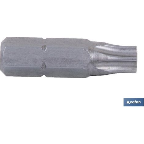 Pack de 10 Embouts Torx T-10 Inviolables
