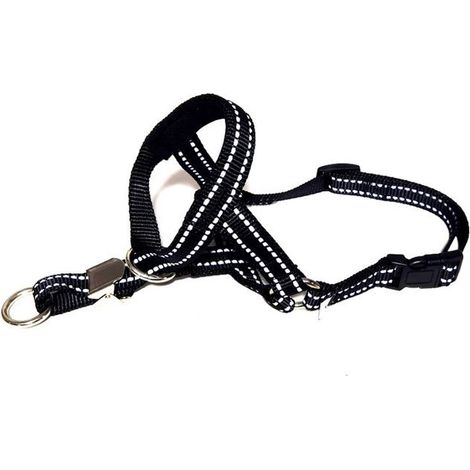 Muselière ajustable pour chien – Anti-morsure, anti-léchage – Respirante – Pour dressage et visites vétérinaires (1/5)