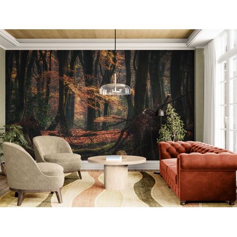 Papier peint Nature – Forêt sombre automne et branches mortes - 150 x 250 cm (1/2)