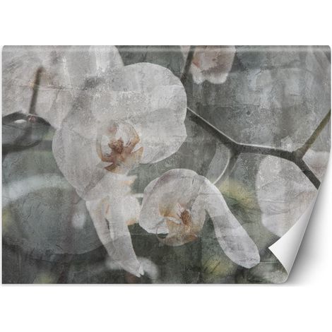 Carta Da Parati, Fiori di orchidea retrà² - 400x280 (1/5)