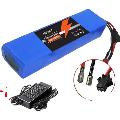 Batterie Lithium-ion, Capacité 100Ah, Configuration 48V, Chargeur-Bullet-SM (1/2)