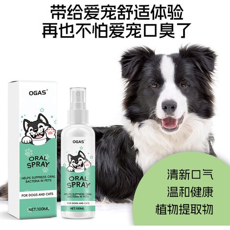 Spray bucco-dentaire pour animaux : protège les dents, les garde propres, est sûr et sans danger, rafraîchit l’haleine, nettoie les dents et neutralise les mauvaises odeurs. – Spray bucco-dentaire pou (1/4)