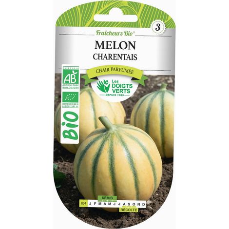 Graines melon charentais BIO Les Doigts Verts