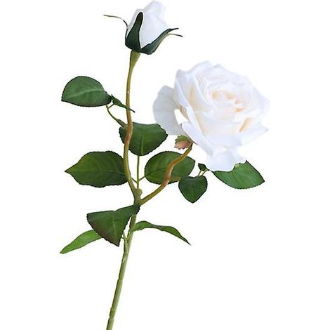 Rose artificielle à tige, 2 têtes, ne se fane pas, sans arrosage, accessoire photo de mariage, branche de fleur artificielle réaliste et réutilisable, décoration intérieurerouge vin (1/5)