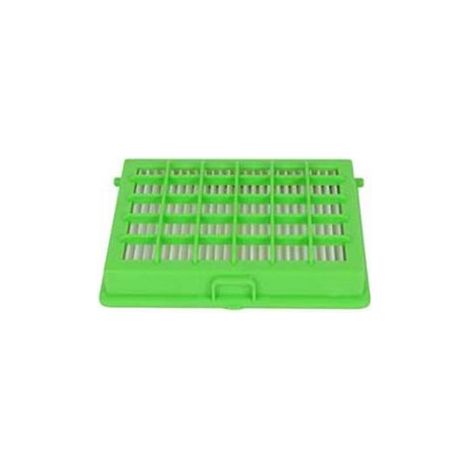 Filtre hepa  ZR004201 pour Aspirateur ACCESSIMO, CITY SPACE, COMPACTEO, COMPACTEO ERGO, COMPACTEO UPGRADE MOULINEX, ROWENTA