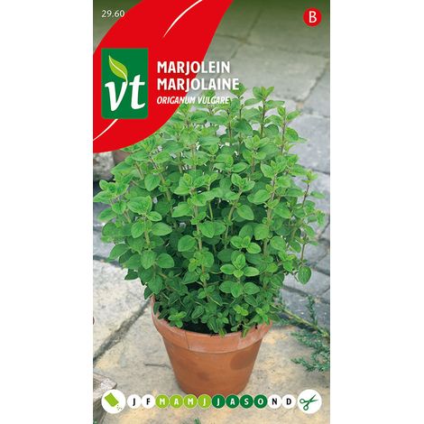 Marjolaine - Ca. 0,4 gr (Livraison Gratuite) (1/2)