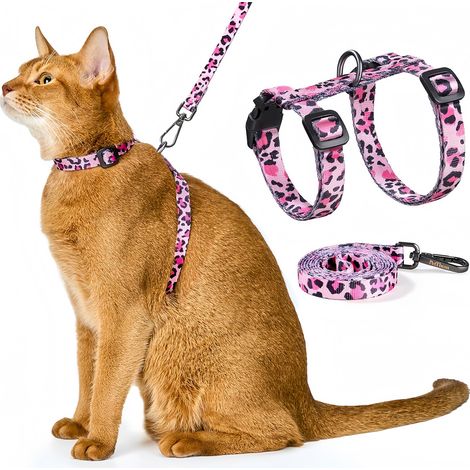 Ensemble harnais et corde pour chats
