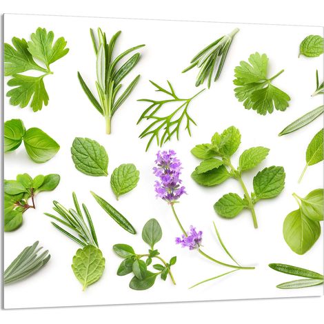 PANEL DE VIDRIO PARA COCINA 65x60 Plantas (1/5)