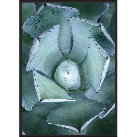 PÓSTER CON MARCO 53x73 cm Hojas P1034 (1/4)