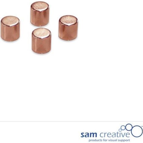 Metallic Magneten 10mm Cylinder brons (4st)