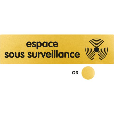 Plaque de porte Espace sous surveillance - Classique or 170x45mm - 4490526