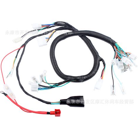 Motorcycle wiring harness compatible with Honda ZJ125 CG125 Italika DT125 FT125 (1/4)