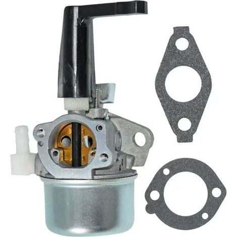 696065 Ersatzvergaser mit Dichtungssatz für Briggs & Stratton 697422 110402 110412 215369 (1/4)