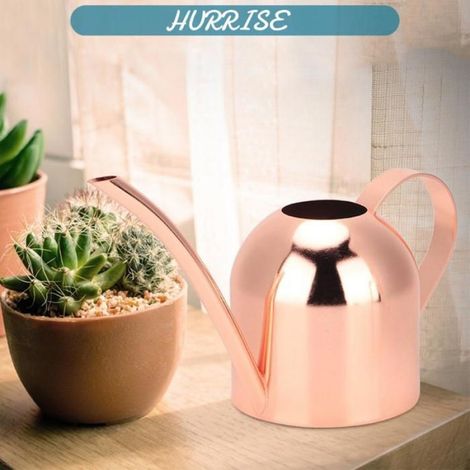 Sonew arrosoir pour plantes Arrosoir en acier inoxydable de 500ml, Pot d'arrosage à longue bouche pour plantes deco pack Or Or Rose (1/5)