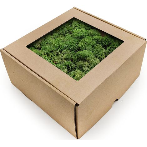 Muschio di renna - Norvegia - Bottiglia 50 g NETTO