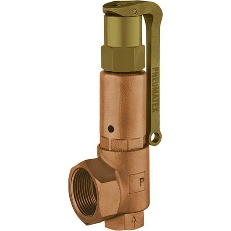 PNEUMATEX Válvula de seguridad DSV32-3,0 DGH, Bronce rojo, 5364030
