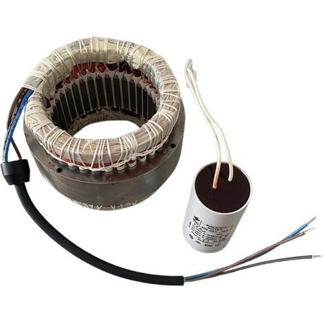 FAAC 63003470 Statore Elettrico Per Motore 746 230V Ricambio (1/2)