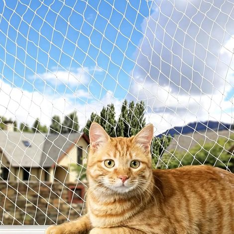 Filet Chat Balcon Renforcé, 3x4m Filet de Protection Chat en Nylon, Transparent Filets Fenetre Chats, Résistant Aux Morsures Et à La Déchirure, pour Balcons, Portes, Fenêtres, Escaliers (1/5)