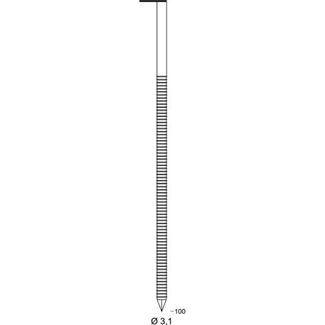 Ptes 34° 3,1x100 ann.HDG