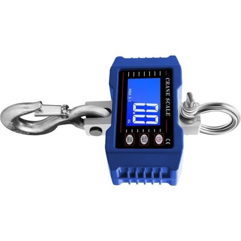 Peson électronique, 1000 kg, écran LCD, pour charges lourdes (1/5)