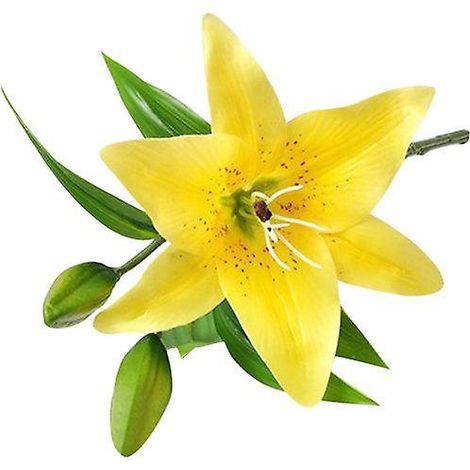 fleur de lys artificielle, fausse plante, décoration pour la maison, le bureau, un café, un mariage ou une fête.jaune (1/5)