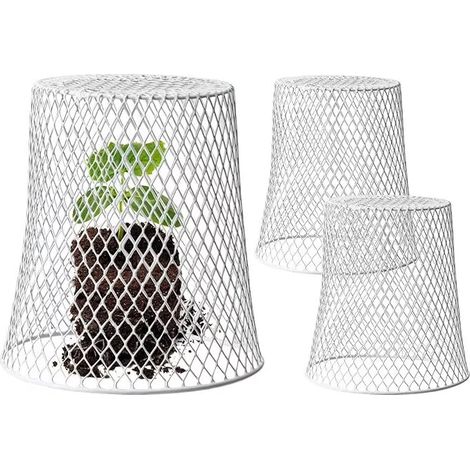 Cloche de jardin en métal avec 10 piquets – Protection des plantes contre les animaux – Dimensions adaptées pour jeunes plants – 3 pièces (1/5)