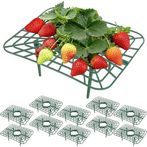 10 Pièces Support Fraisier, Support Fraise Jardin Plastique Réutilisable, Tuteur Fraisier 4 Pieds Stables, Anti-Limaces & Moisissure, pour Fraisiers, Tomates, Potager(Vert) (1/5)