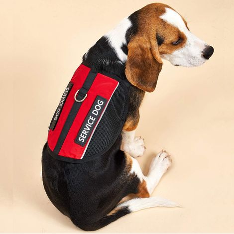 Harnais pour chien d'assistance Léger Confortable Réfléchissant Idéal pour le dressage et le travail des petits, moyens et grands chiens (1/4)
