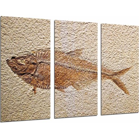 Cadre photo poster photographique multicolore 97 x 62 cm (1/3)