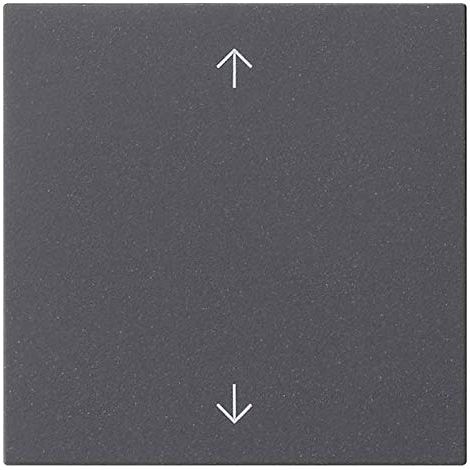 GIRA 4010337027317 ANTH 536128 SYSTÈME 55 UNITÉ DE COMMANDE INTELLIGENTE
