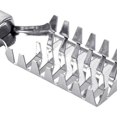 Kreativer Fischschupper aus Edelstahl, multifunktionaler Fischschaber, Küchenutensil, Schuppenbürste (1/5)
