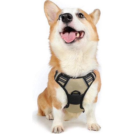Harnais Chien M Beige Anti Traction Réfléchissant Gilet Réglable pour Chien, Attache Devant Crochet de Laisse pour Randonnée Trajet Voiture, Bouledogue Français, Berger Australien (1/5)