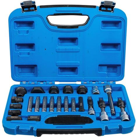 Jeu de Clés à Embouts et Douilles Alternateur 23 pcs - Acier Résistant - Réparation et Entretien Faciles - D-Work