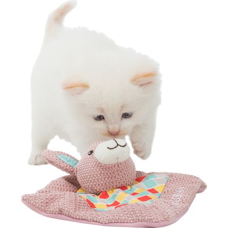 Junior Doudou à la Valériane 13 × 13 cm x 3 cm jouet pour chat - Trixie (1/4)