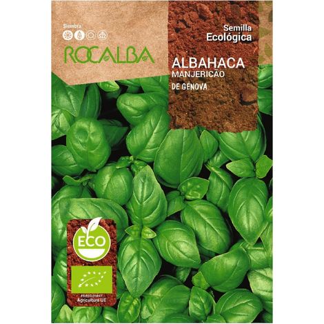 Rokalba Eco Albahaca de Genova 5G