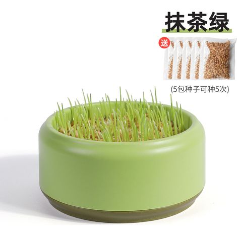 Boite De Culture Hydroponique - Boite A Herbe Pour Chats - Sans Terre - 14 X 14 X 6 5 Cm - 1 Unite (1/5)