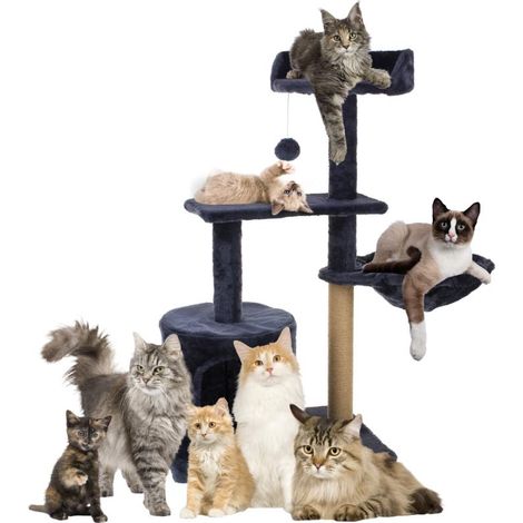 Tiragraffi per gatti, casetta sull'albero, letto, amaca in sisal, giocattolo grande (1/5)