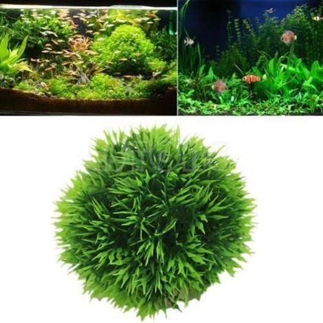 TrAdE Shop Traesio - Pianta Piantina Artificiale Per Acquario Piante Finte Plastica Cespuglio Verde - (1/3)