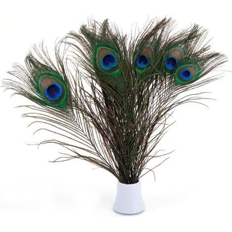 Promotion, Véritables plumes de paon social, 25-30 cm, superbe décoration pour mariage, Noël, Halloween, maison (20 pièces bien sûr), (1/5)