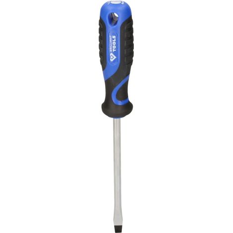 BRILLIANT TOOLS Tournevis à fente 1,6 x 8,0 mm - BT030906 (1/5)