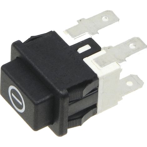 Interrupteur pour Centrale vapeur ASTORIA 500593244 (1/4)