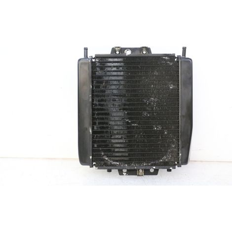 [PRODUIT D'OCCASION] RADIATEUR PIAGGIO MP3 250 2006 - 2010 (1/5)