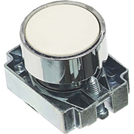 Tête de bouton-poussoir RS PRO Blanc, Momentané, Ø découpe 22mm ( Prix pour 1 )