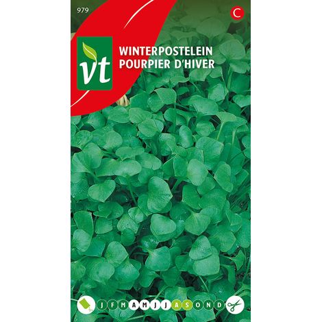 Pourpier D'Hiver - Ca. 0,75 gr (Livraison Gratuite) (1/2)