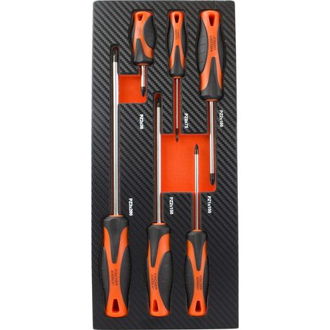 Module de rangement comprenant 6 tournevis, Noir