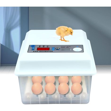 16 Eier Brutautomatisch Vollautomatisch Eier Automatisch Drehen mit LED Temperaturanzeige Temperatur- und Feuchtigkeitsalarm für Hühnern, Wachteln, Enten, Weiß (1/5)